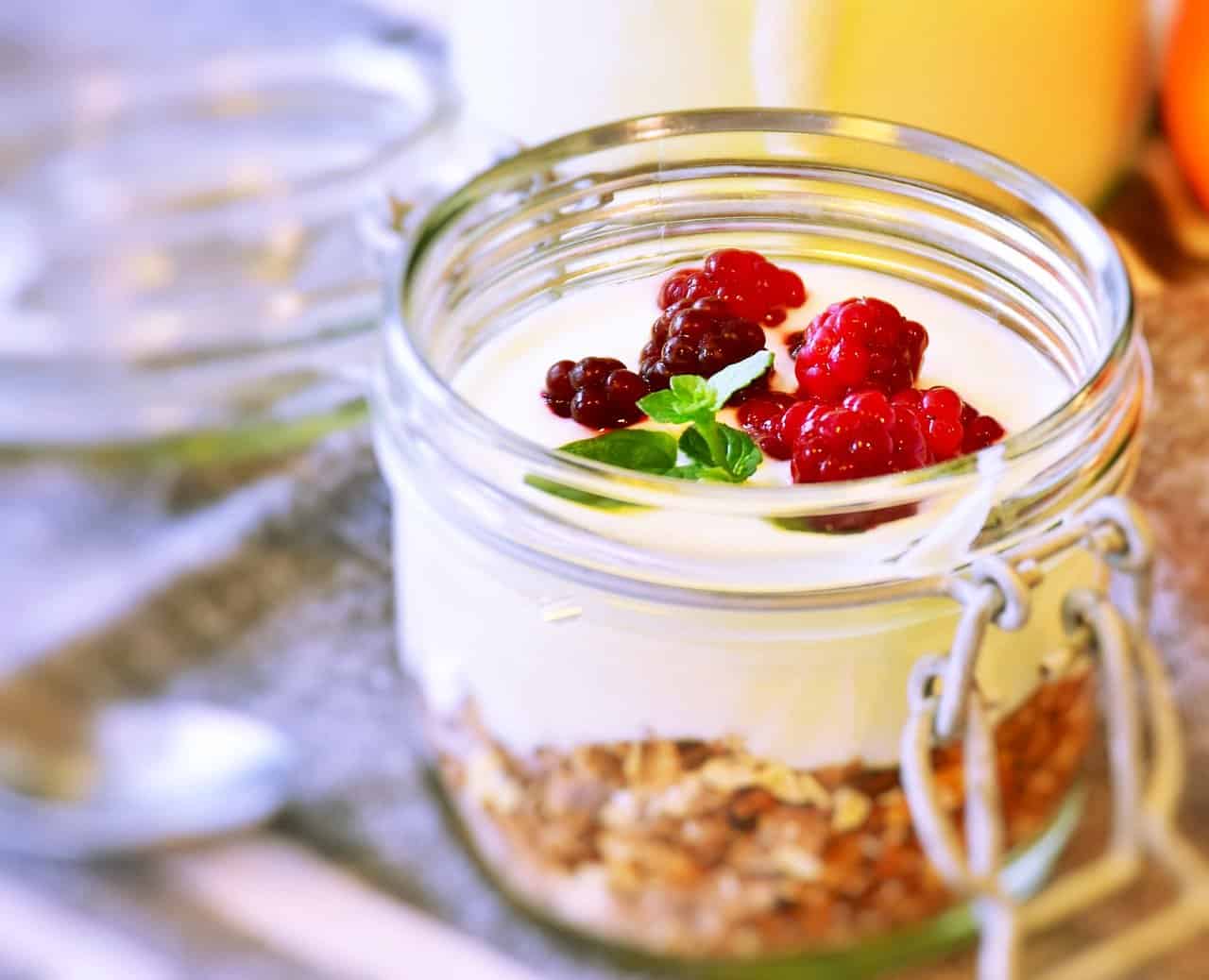 Nutritional Facts Of Greek Yogurt Prove Its High Quality
